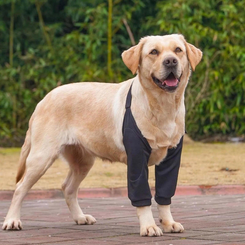 Pack of 2 Adjustable Elbow & Knee Support for Dogs, Breathable Mesh Joint Protectors with Fastening, Support Bandage for Dogs for Arthritis, Lameness & Post Surgery, Black/Grey