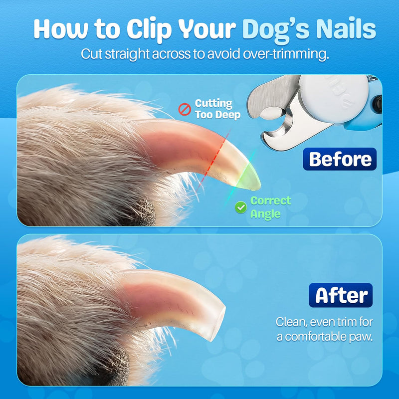 Flexzion Pet Nail Clippers for Dogs & Cats - Stainless Steel Blade Cat Nail Trimmer with Stored Nail File, Safety Guard, Easy Grip Handle - Dog Nail Clippers for Large Dogs, Medium Small Breeds, Blue
