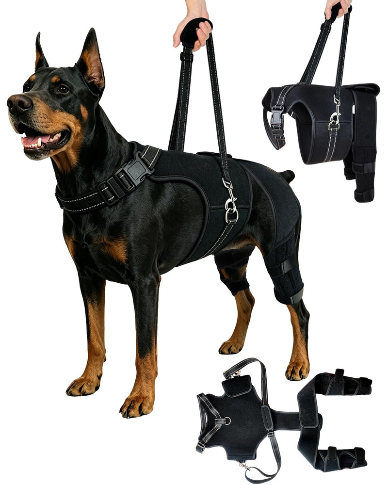 2-in-1 Dog Knee Brace and Lift Harness, Adjustable Back Leg Support with Stabilizers for ACL Recovery & Joint Care, Dog Sling for Hind Legs, Mobility Aid for Elderly Dogs with Luxating Patella (M) M