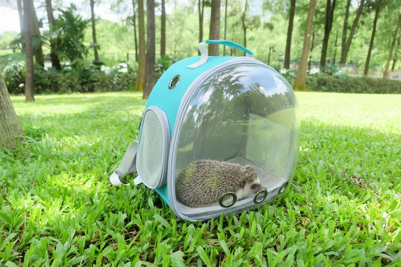 Small Animal Carrier Guinea Pig Backpack,Transparent, Breathable Backpack Carrier for Hedgehogs, Rabbits, Birds, Squirrels, Hamsters, Lizards Comfortable, Portable Travel Bag for Small Pets (Green) Green