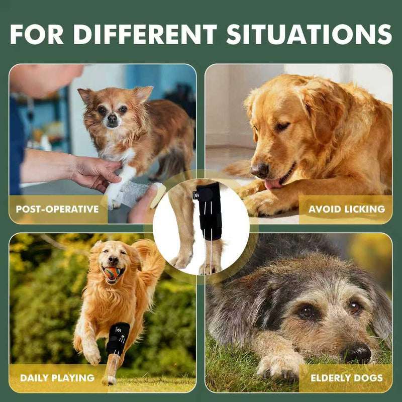 Dog Front Leg Support Brace for Foot Drop, Canine Knuckling Prevention, Toe Dragging Assistance L