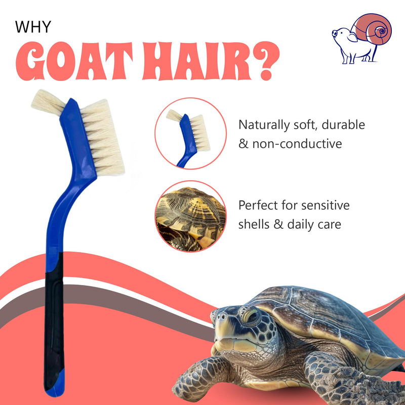 Turtle Cleaning Brush - Gently Remove Dirt from Turtles and Tortoises - Blue by Snout and Shell - PawsPlanet Australia