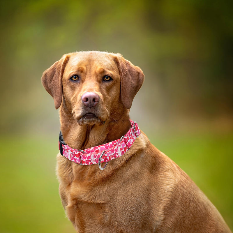 Martingale Collar for Dogs, Pink Heart Dog Collar for Small Medium Large Dogs, Girl Dog Collars with Quick-Release Buckle for Training, Walking, Hunting (L) A16 L (Neck 20"-28") - PawsPlanet Australia