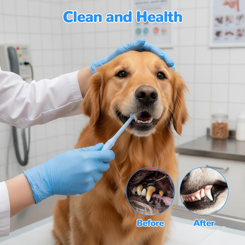 Pack of 4 Cat and Dog Toothbrushes, 360° Toothbrush for Dogs and Cats, Reusable Food Grade Silicone Toothbrush, Suitable for Small, Medium and Large Pets