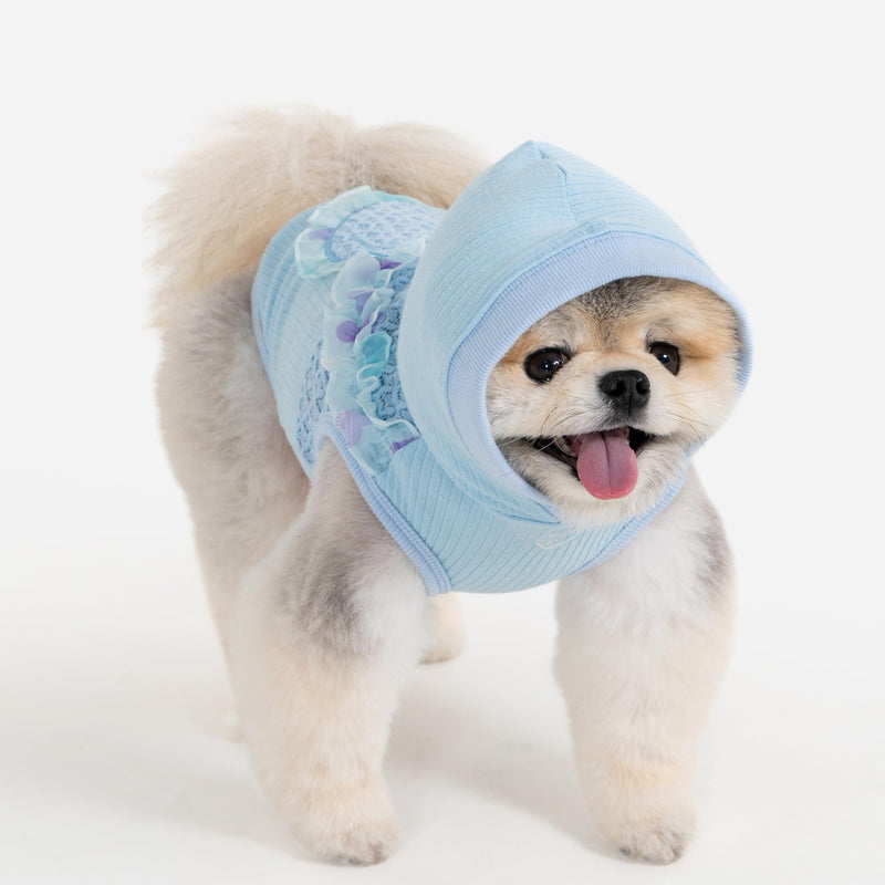 Pinkaholic New York Tiana Dog Shirt Hooded Trendy Fashionable Cute Dog Apparel for Small Dogs, Sky Blue, Small Sky Blue_Tiana - PawsPlanet Australia
