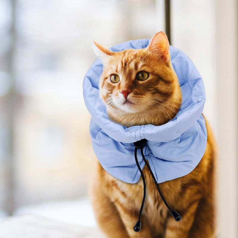 Cat Recovery Collar, Soft Adjustable Cat Cone, Cat Elizabethan Collar Cat Neck Protective Collar Neck Collar After Surgery for Cats Kitten Prevent from Licking Wounds (S) - PawsPlanet Australia