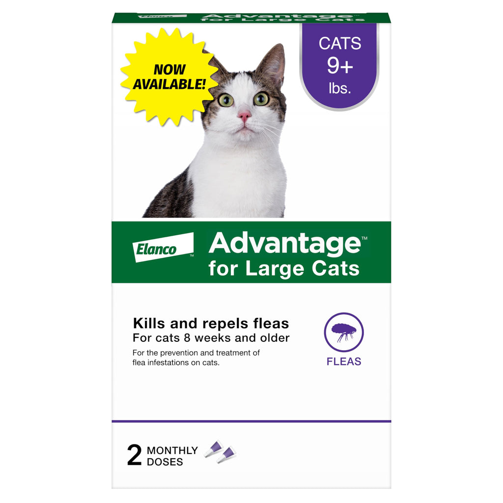 Advantage Topical Cat Flea Treatment and Prevention for Large Cats 9 lbs.+ | 2 Month Supply