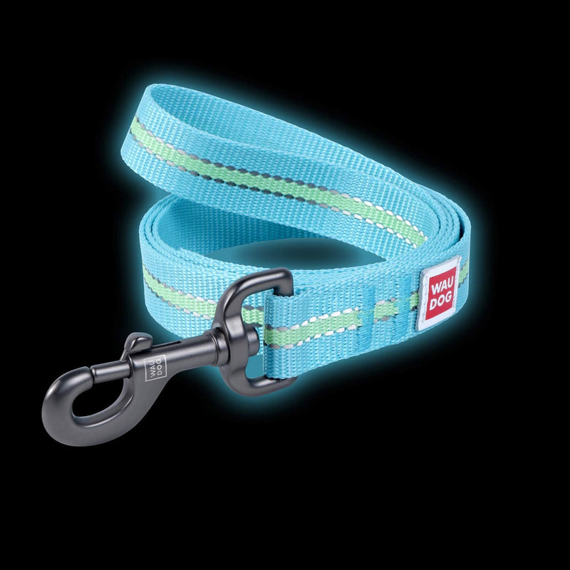 Nylon Reflective Dog Leash 4 Ft - Nylon Dog Leashes for Large Dogs, Medium & Nylon Leash for Small Dogs - Long Nylon Dog Leash Reflective for Puppy Leash Nylon (4 Ft x 0.6" Wide, Blue) 4 Ft x 0.6" Wide - PawsPlanet Australia