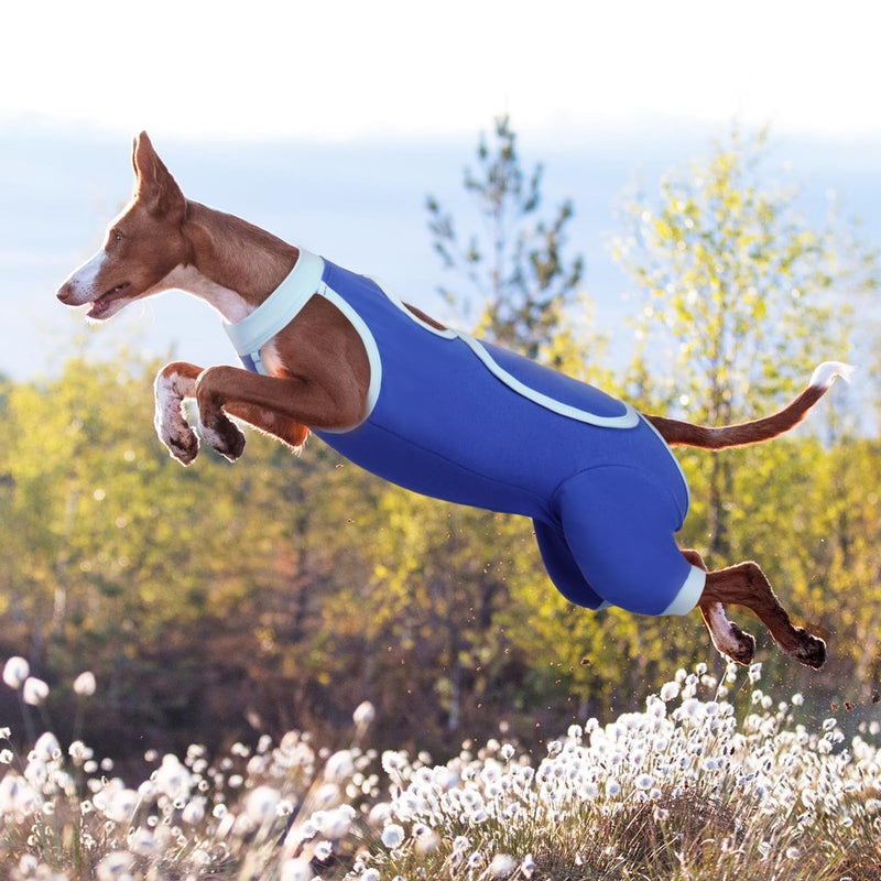ROZKITCH Dog Surgery Leg Sleeve Rear Legs, Male Female Pet Prevent Licking Wound Elbow Knee Protector, Dog Recovery Suit Cone Collar Alternative Pants Shirt for Wound Heal Wrap Blue 3XL