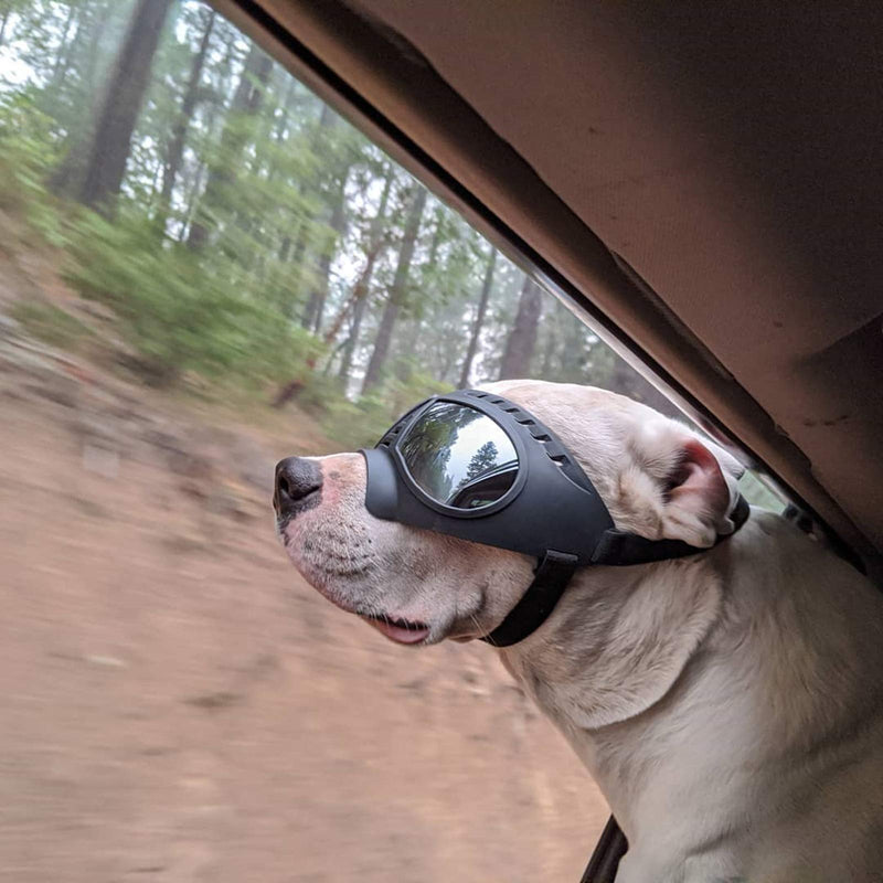 Namsan Dog Goggles for Large Dogs, Wide Snout & Soft Frame, Tactical Driving Sunglasses for Dogs Medium to Large Breed, Anti-UV Dog Eye Protection, Windproof Dustproof, Adjustable, Black (Large)Silver Lens - PawsPlanet Australia