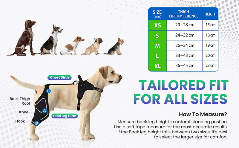 Petpanm- Adjustable Dog Knee Brace- Right Hind Leg with Integreted Harness- Premium Support for Torn ACL, Sprains & Strains Recovery, Enhances Mobility, Comfortable Neoprene - (XLarge). Right leg XLarge