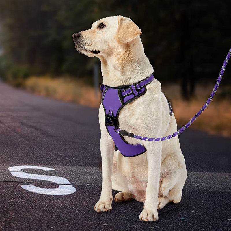 IVY&LANE No Pull Dog Harness for Small Dogs, Dog Vest Harness with Leash, Safety Belt and Storage Strap, Fully Adjustable Harness, 360° Reflective Strip, Soft Handle (Purple, S) Purple - PawsPlanet Australia