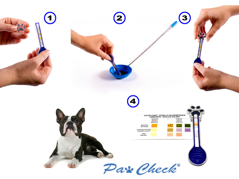 PawCheck UTI Test Kit for Dogs, Including an Urinalysis Test Strip and a Reusable P-Scoop Telescopic Urine Collector - PawsPlanet Australia