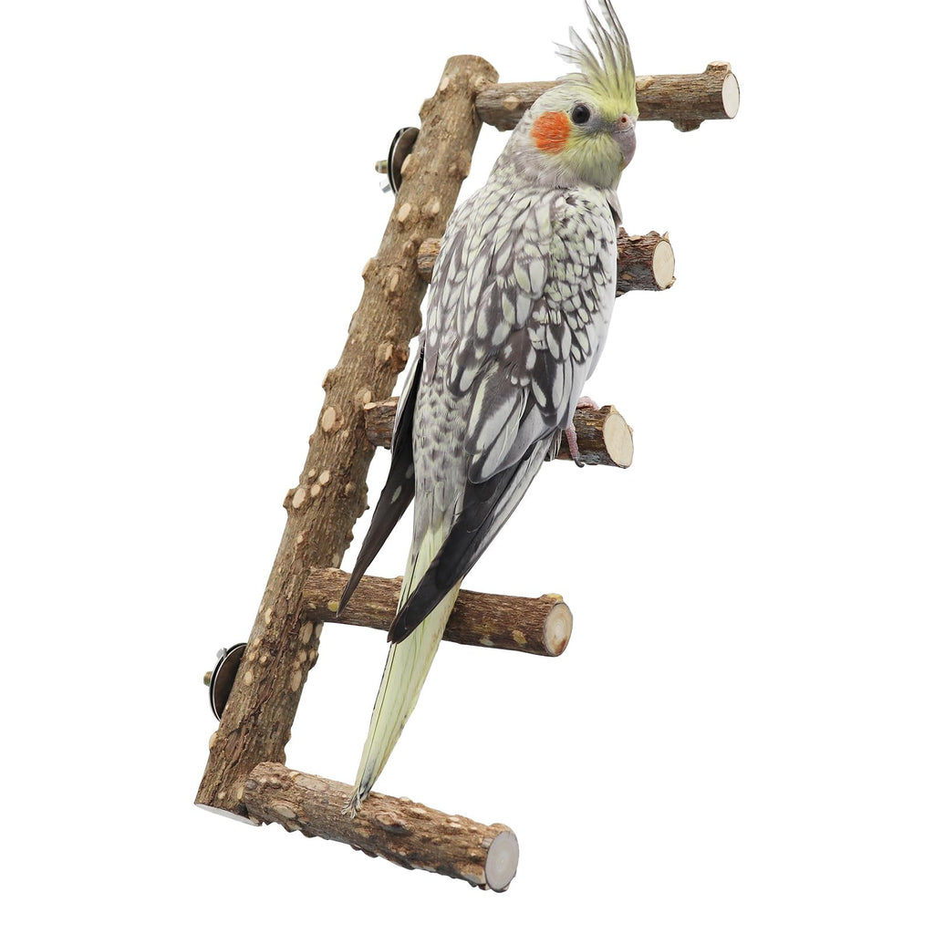 15.7 Inch Large Bird Perch Stand, Natural Wood Parrot Climbing Ladder Toys, Bird Cage Accessories, Suitable for Small to Medium Sized Birds Parakeets Cockatiels Budgies Lovebirds