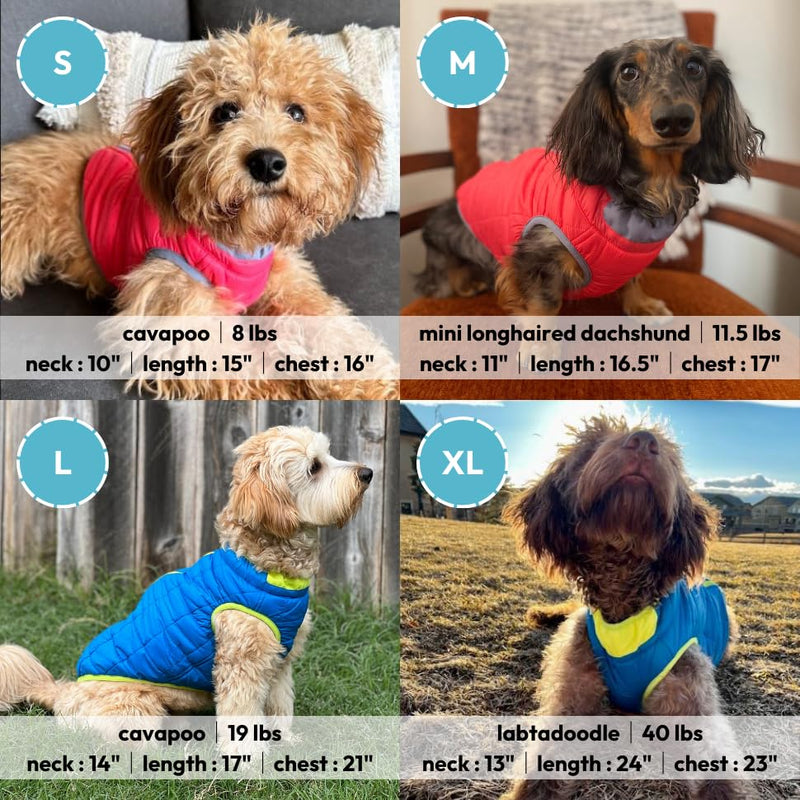 Gooby Comfort Jacket - Warm Water Resistant Zip Up Dog Jacket - Small and Medium Dogs X-Small (13") Turquoise