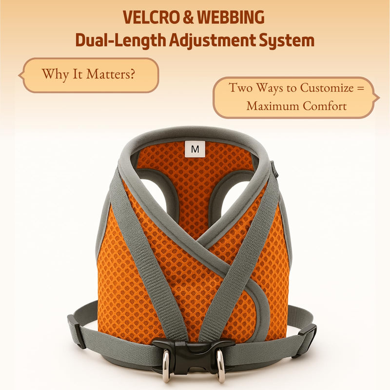 Small Dog Harness and Leash Set, Adjustable Step-in Dog Harness with Back Clip, Reflective Escape Proof Easy Walk Dog Harness for Small Sized Dog, Puppy, Cats (OrangeGrey M) Orange+Grey - PawsPlanet Australia