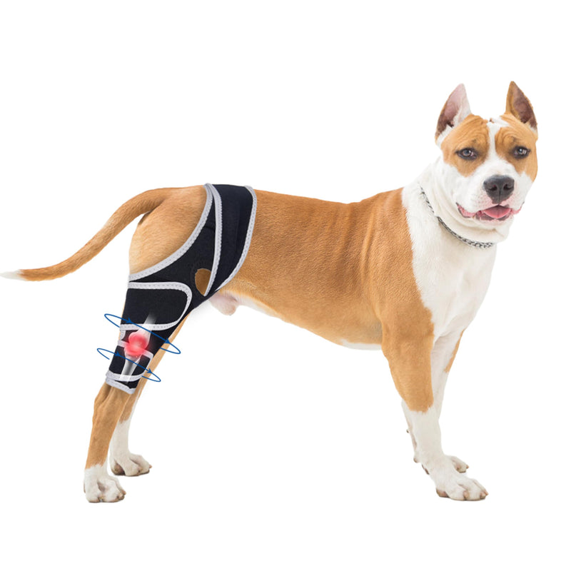 Knee Brace for Dogs All Leg, Adjustable Dog Knee Brace for Torn Acl Hind Leg -Keeps Joint Warm and Stable,Extra Support,Reduces Pain.(Size L)