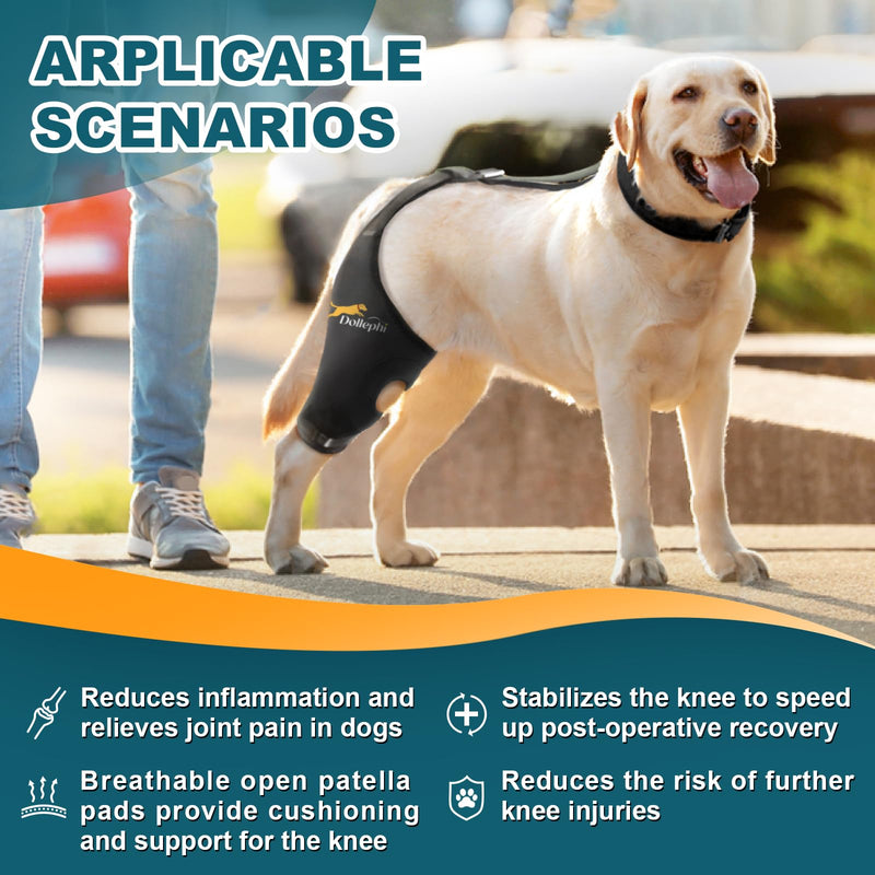 Dog Knee Brace for Torn ACL Hind Leg, Support for Patella Dislocation or Osteoarthritis, Cruciate Ligament Injuries, Cut-out Non-slip Wrap Promotes Patellar Stability,Patent Pending(Right Leg,M) Right Leg(gasket) M