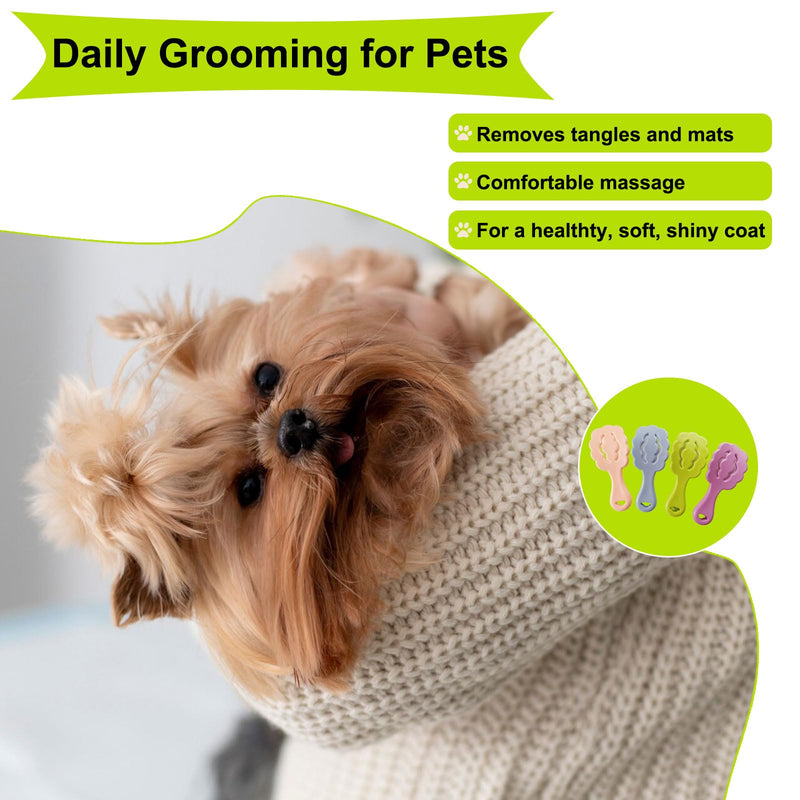 Cloud-Shaped Soft Bristle Puppy Brush for Small Dogs - Yorkie, Shih Tzu, Maltese, and Toy Poodles Grooming Tool with Detachable Lint Comb and Gift Box （Green） Green - PawsPlanet Australia