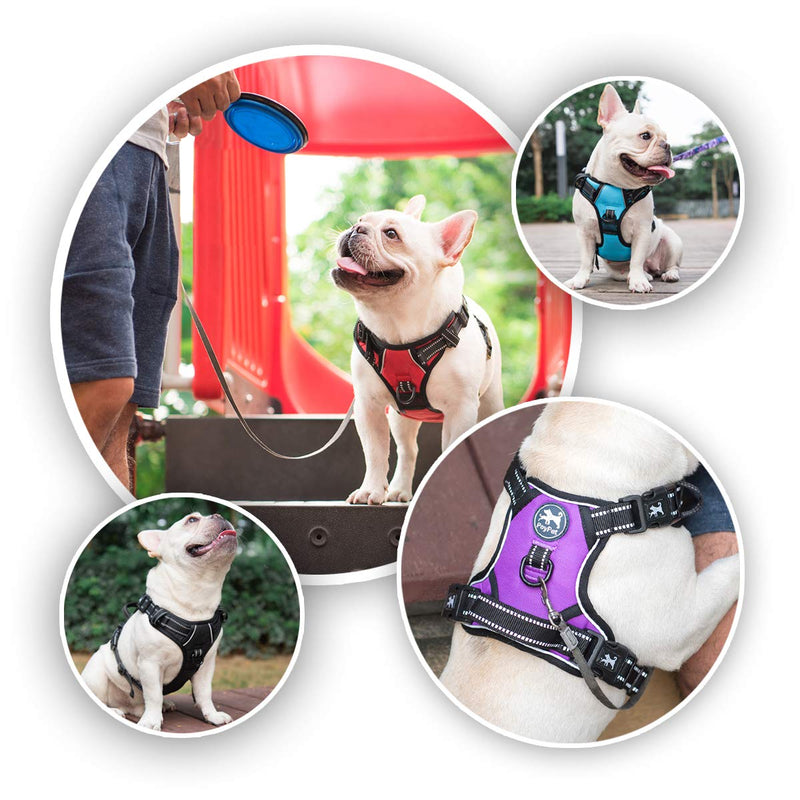 PoyPet 2019 Upgraded No Pull Dog Harness with 4 Snap Buckles, Reflective with Front & Back 2 Leash Hooks and an Easy Control Handle [NO Need Go Over Dog’s Head] Medium Black