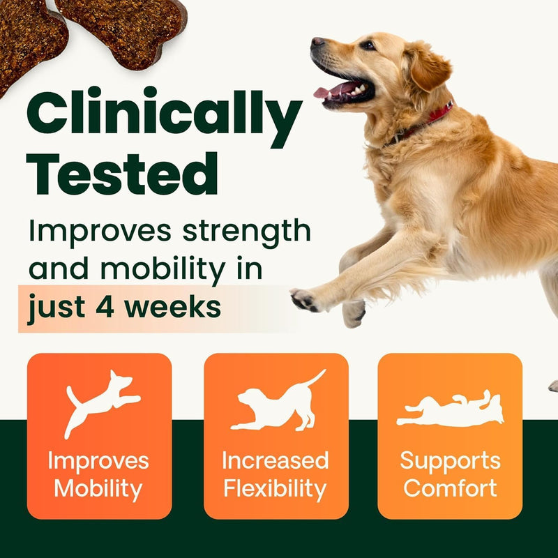 VETRISCIENCE Glycoflex 3 Maximum Strength Hip & Joint Support for Small Dogs Under 30lbs - Glucosamine, DMG, MSM & Green Lipped Mussel - Great Tasting - Vet Recommended, (0900669.060) - PawsPlanet Australia