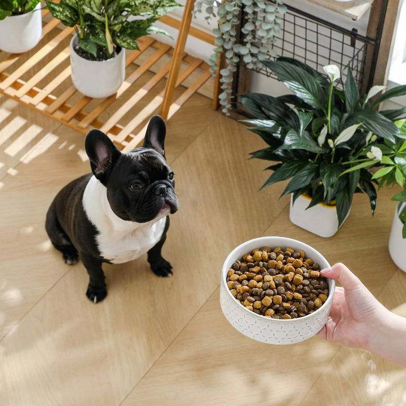 MALACASA Ceramic Dog Food Bowl, 1.5 Cups or 14oz Dog Food Water Dish for Small Breeds, Cats Pet Bowl Dishwasher & Microwave Safe, Honeycomb, Series Lydia - PawsPlanet Australia