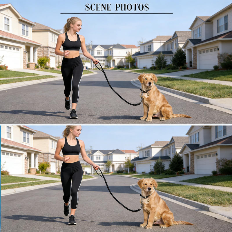 Braided Leather Leads for Dog, 4ft Length, Buffer Design?Heavy Duty Training Dog Leash for Large Medium Small Dogs (Black) BLACK - PawsPlanet Australia