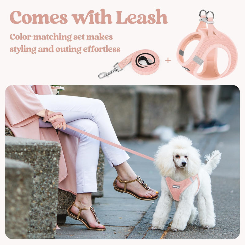 rabbitgoo Dog Harness Small Sized and Leash Set, Step in Soft Light Puppy Vest, Breathable Mesh Pet Harness, Reflective for Safe Outdoor Walking, Pink S S (Chest: 15.1 - 16.5") - PawsPlanet Australia