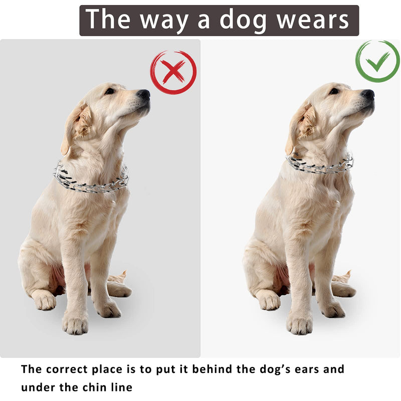 Dog Prong Collar, Adjustable Choke Collar for Dogs, High-Strength Metal Collar with Comfort Rubber Tips, for Small to Large Dogs, Gold B Medium - PawsPlanet Australia