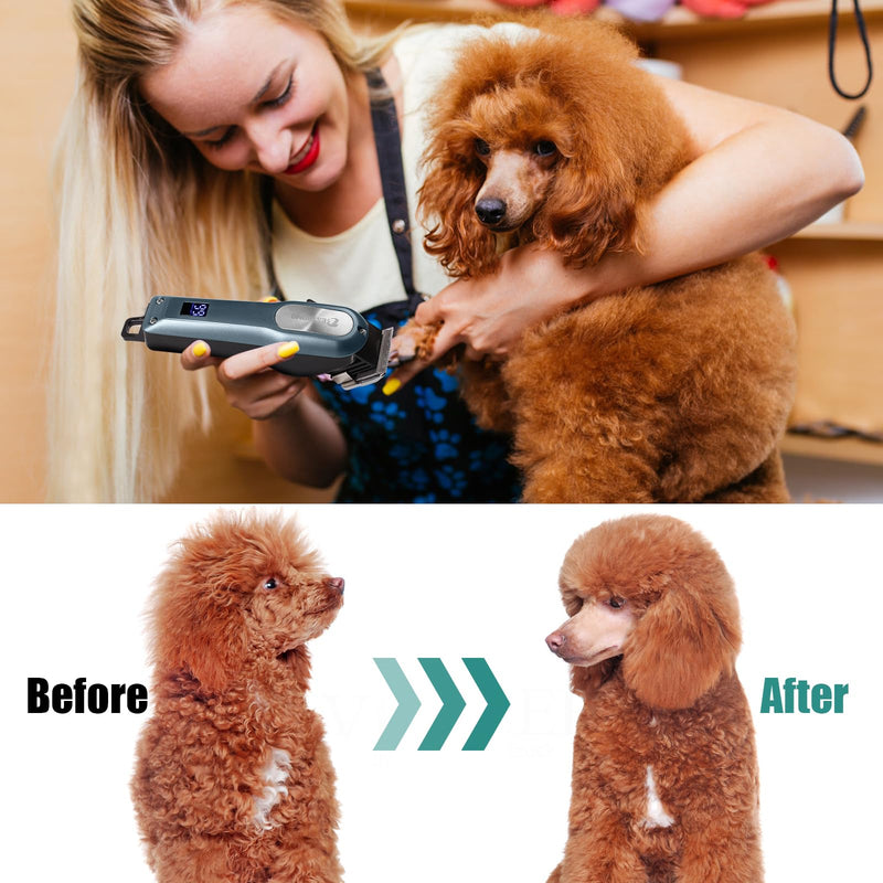 BESTBOMG Professional Dog Grooming Clippers for Thick Heavy Coats Low Noise High Power Rechargeable LED Display Cordless Pet Shaver for Small & Large Dogs Cats Dogclipper Kit1 - PawsPlanet Australia