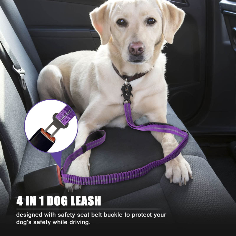 Raipult Shock Absorbing Tactical Dog Leash, 4-6FT Heavy Duty Bungee Leash, Anti-Pull Elastic Training Lead with Car Seatbelt & 2 Handles for Medium Large Dogs,Purple Modern Violet Aviation aluminum - PawsPlanet Australia