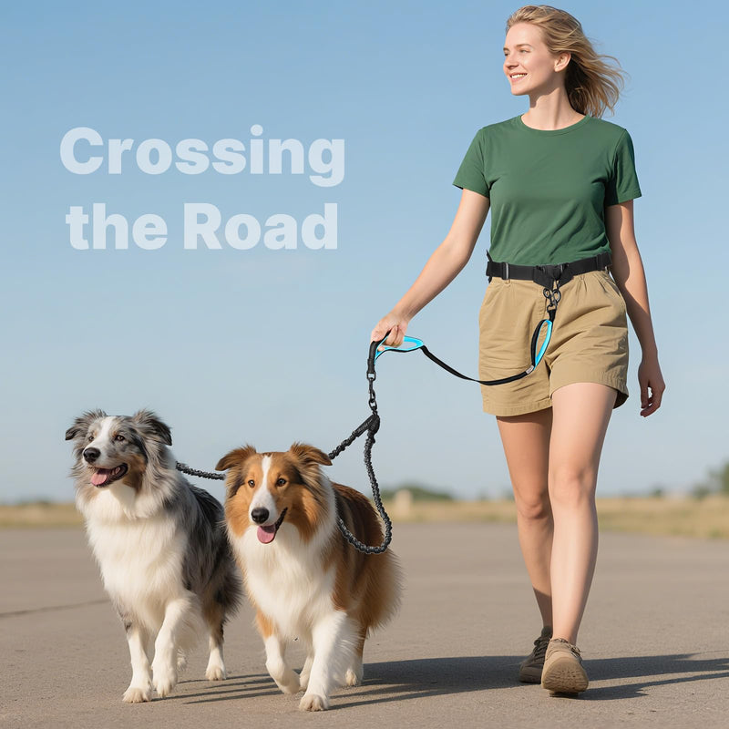 Hands Free Double Dog Leash Tangle Free, Lumbar Support Dual Leash for Medium Large 2 Dogs With Bungee, Waist Bag, Padded Handles,Reflective Stitching for Dog Walking, Jogging, Hiking, Training