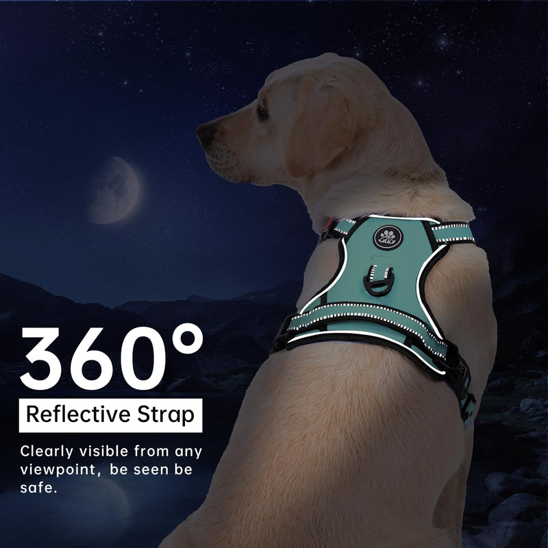 IVY&LANE Dog Harness Set Bundle Dog Collar and Leash Set | Medium | Turquoise+Teal - PawsPlanet Australia