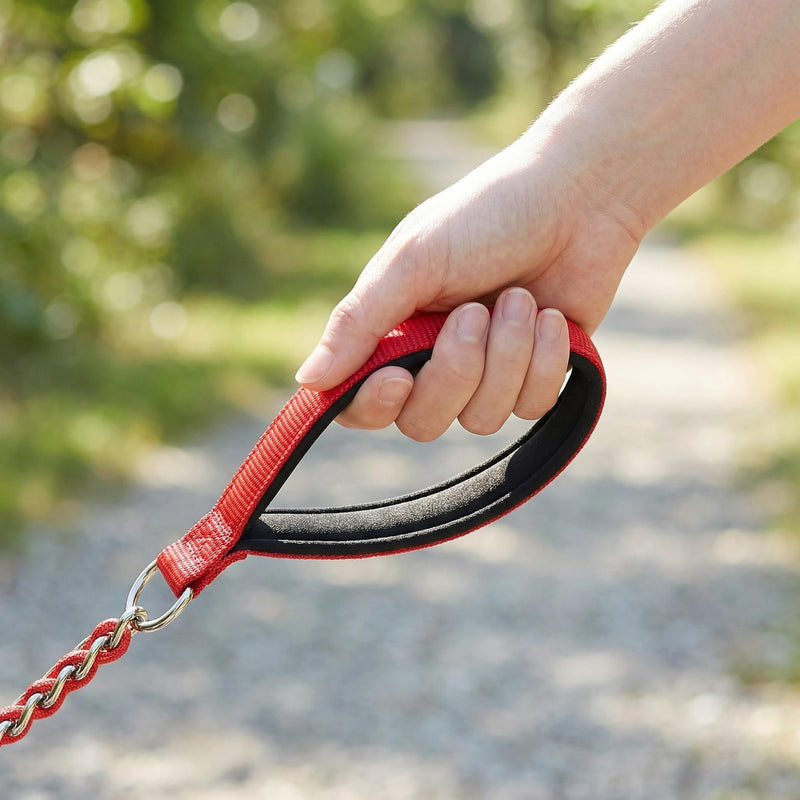 Chew Proof Metal Dog Leash with Built-in P-Chain Collar - 2FT/4FT for Small/Medium/Large Dogs (30-150lb), Anti-Bite Chain Link with Soft Padded Handle, 360° Rotating Clasp Red 4FT/ 120CM - PawsPlanet Australia