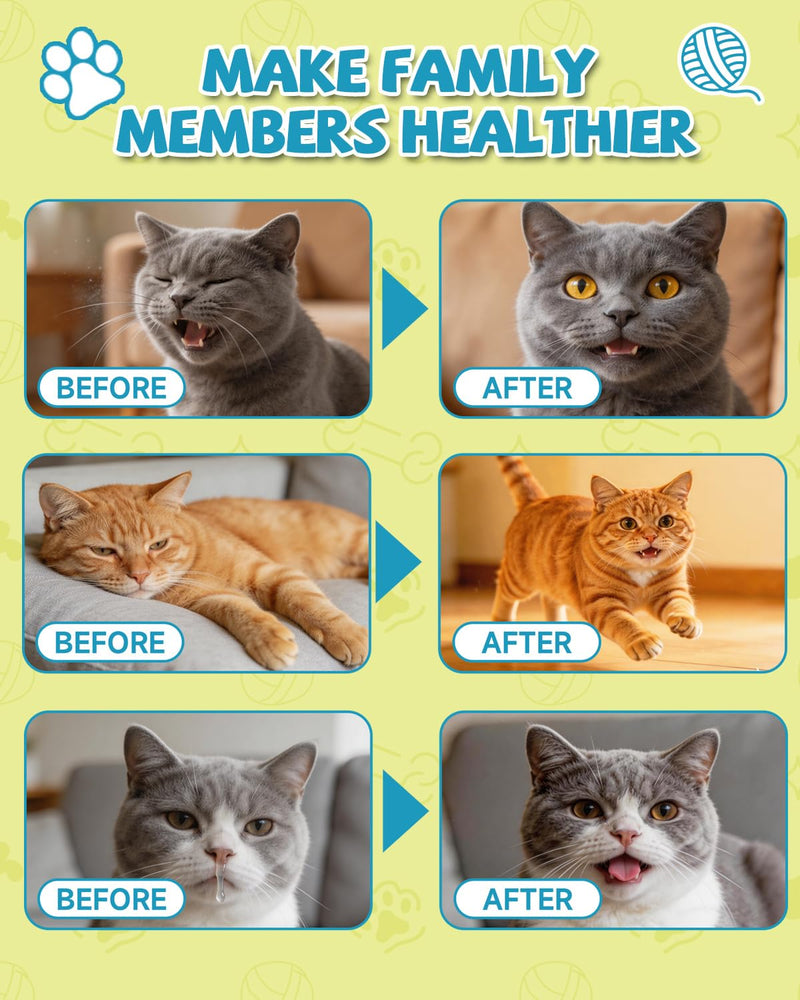 L-Lysine for Cats,Lysine Drops Immune Support Supplement,Sneezing,Cold,Allergy Relief,Runny Nose,Feline Respiratory,Natural Antibiotics for Cats with Colostrum,Taurine Cat(Roast Chicken Flavor/2floz)