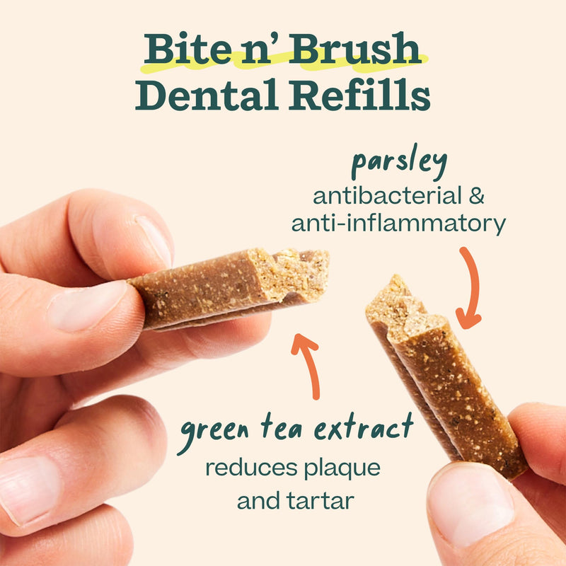 WOOF - Bite n' Brush Refills Treats for the Dog Toothbrush Toy - Scrub Plaque and Tartar from Your Dog's Teeth and Mouth - Dog Dental Sticks - 36 Refills - Chicken - 2 Pack 2 Pack Chicken - PawsPlanet Australia