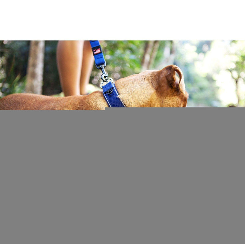 EzyDog Neo - Dog Collar - Small(34-38cm) - Green Camouflage Small(34-38cm) - PawsPlanet Australia