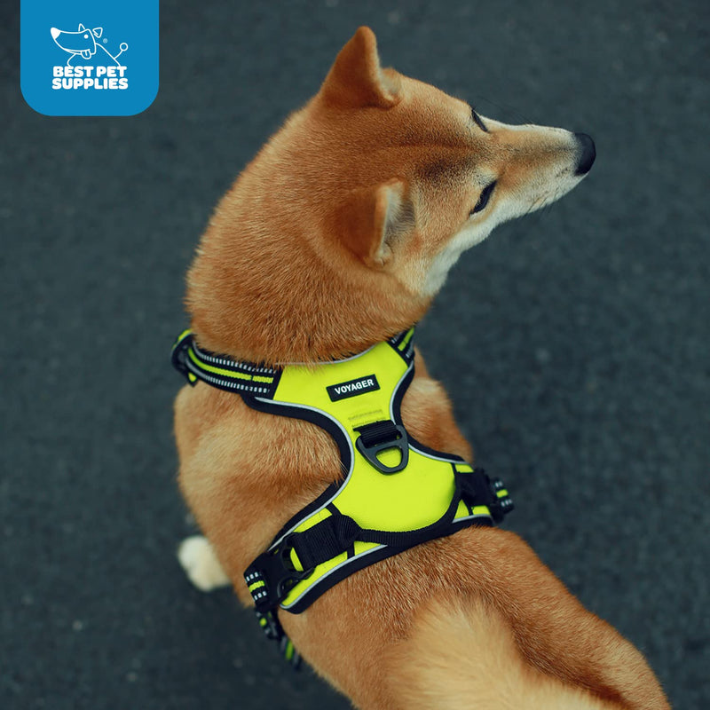 Voyager Dog Harness Dual Leash Attachment No-Pull Control Adjustable Soft but Strong Pet Harness for Medium and Large Dogs with 3M Reflective Technology - Turquoise, M (Chest: 20 - 25") M (Chest: 20 - 25") Harness (Turquoise Nylon)