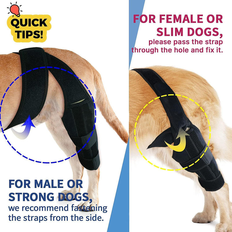 Dog Knee Brace for Torn ACL CCL – Adjustable Hind Leg Support with Metal Stabilizers, Relieves Joint Pain, Aids Recovery & Prevents Injury, Comfortable & Secure Fit for Dogs Back Leg (S) S