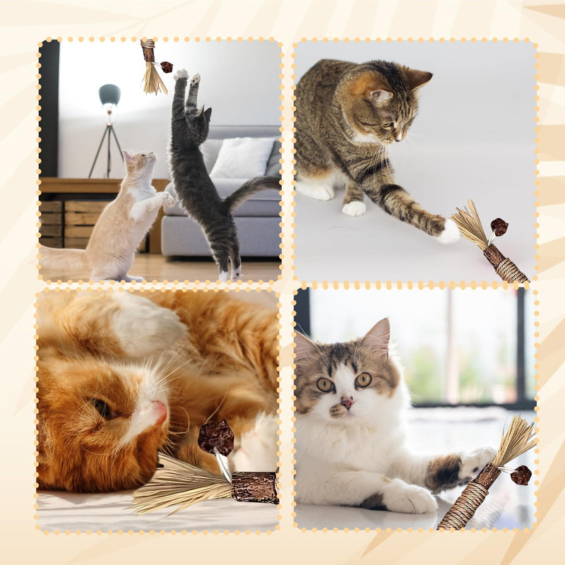 Pack of 12 Catnip Toys, Cat Toy with Catnip, Dental Care Cats and Stick Cat, Cat Toy, Help Cats Oral Hygiene and Dental Care