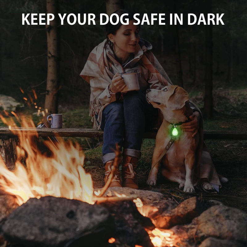 6-Pack Rechargeable Dog Light, Dog Collar Light,Waterproof,3 Modes LED Dog Safety Lights,Multiple Color Options,Clip On Collar, Leash,Harness，Night Light for Running,Climbing,Camping - PawsPlanet Australia