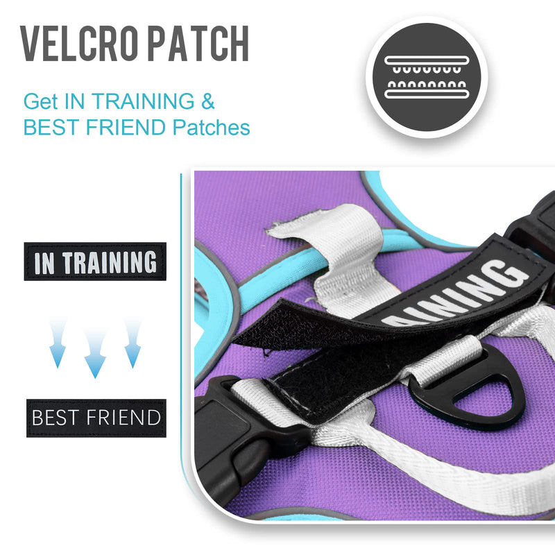 No Pull Dog Harness, Reflective Dog Vest Harness with Front & Back 2 Leash Clips, Oxford Pet Harness Adjustable Soft Padded Dog Vest with Easy Control Handle for Small Medium Large Dogs Small (Pack of 1) Purple - PawsPlanet Australia