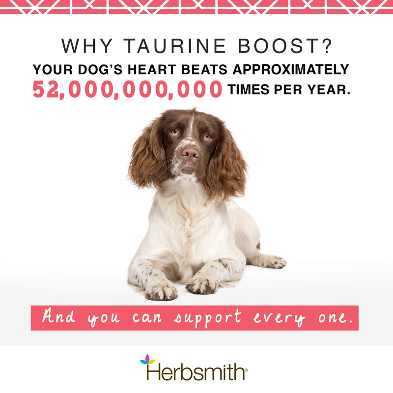 Herbsmith Taurine Boost - Cardiac and Heart Support for Dogs and Cats - Taurine Supplement for Dog and Cat Heart Health – with CoQ10, Taurine and L-Carnitine for Dogs - 150g 150g Powder