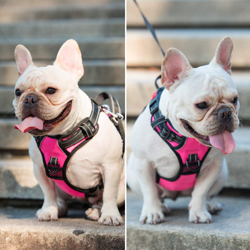 PoyPet No Pull Dog Harness, No Choke Front Clip Dog Reflective Harness, Adjustable Soft Padded Pet Vest with Easy Control Handle for Small to Large Dogs(Pink,M) Medium Pink - PawsPlanet Australia