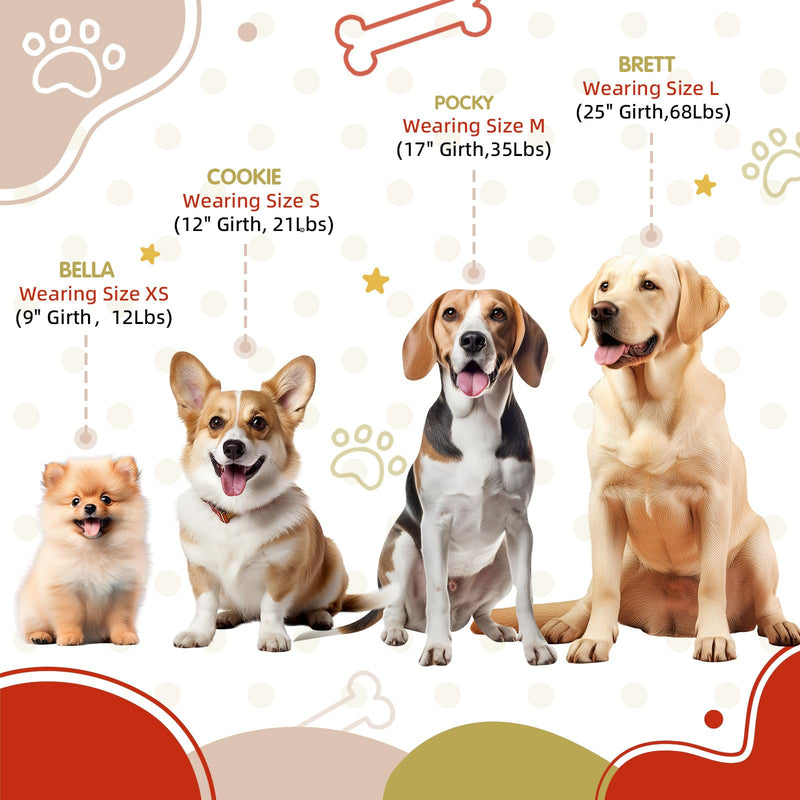 Tri-Color Dog Harness, Adjustable Step-in Design no Pull Dog Harness for Small Dogs, Heavy Duty Puppy Harness, Easy for Walking Dog Harness for Small Dogs, xs Dog Harness Red Yellow White XS: 2/5"W x Chest 10" - 14" - PawsPlanet Australia