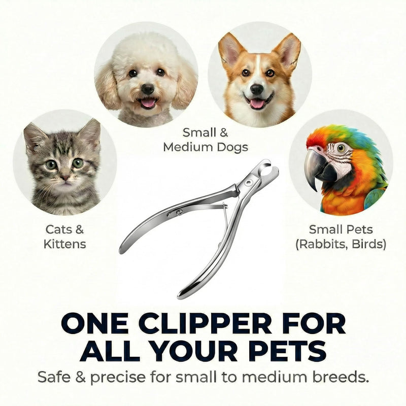 Cat and Dog Nail Clippers for Small & Medium Pets - Precision Pet Nail Trimmer with Included Cat Nail File - Professional Metal Claw Scissors for Kittens, Puppies, Rabbits & Birds - PawsPlanet Australia
