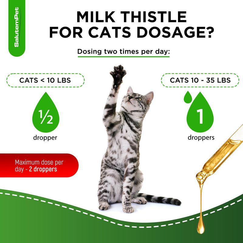 Milk Thistle for Cats | Cat UTI | Liver Support for Cats | Cat Milk Thistle | Feline UTI | Cat Cough | Milk Thistle Cats | Cat Urinary Tract | 2 Oz - PawsPlanet Australia