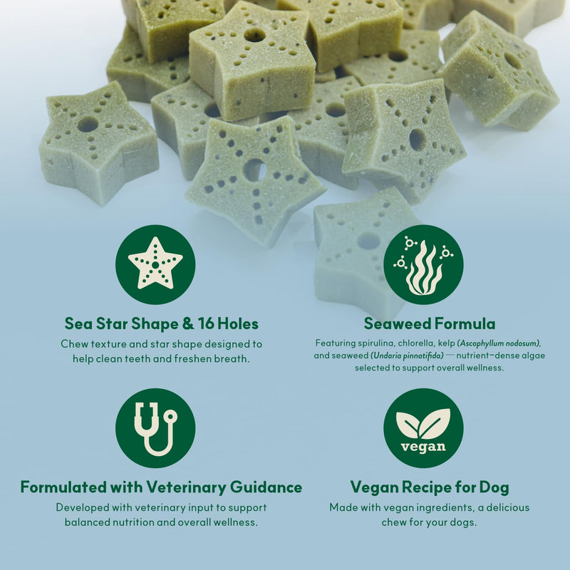 Dental Chews for Dogs, Vegan Sea Star Shape, Fresh Breath, Ascophyllum - PawsPlanet Australia