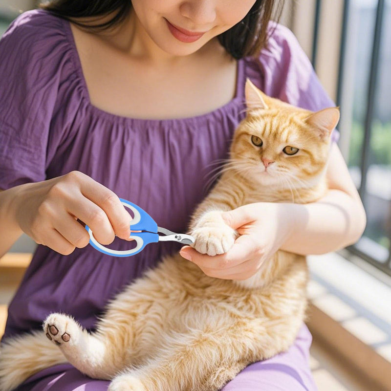 Zoocozy Pet Nail Trimmer, Cat Nail Trimmer cat Nail File Dog Nail kit Nail Trimmer is Suitable for Cats, Dogs, Guinea Pigs and Other Small Animals（Blue Colour） blue - PawsPlanet Australia