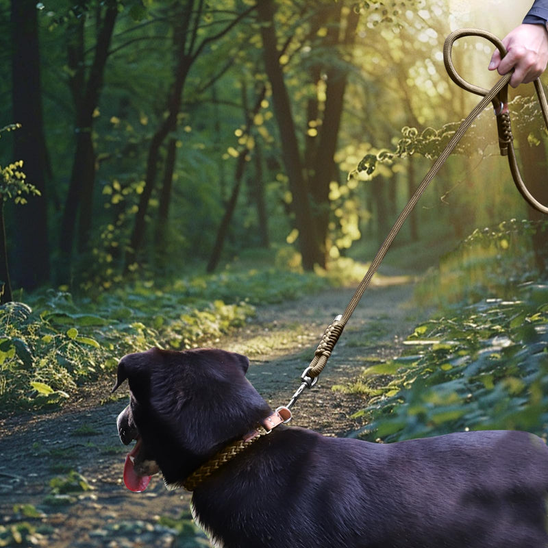 Heavy Duty Dog Leash- 6 FT Handmade Rope with Rotating Metal Clip, No Pull Training Slip Lead Comfortable for The Strong Large Medium Pets (Heavy Duty Dog Leash (Green), 6 FT Dog Leash) Heavy Duty Dog Leash (Green) - PawsPlanet Australia